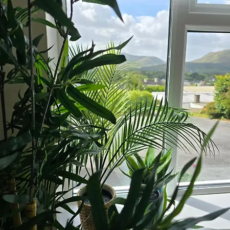 Abbey - 1 Деревянный коттедж *