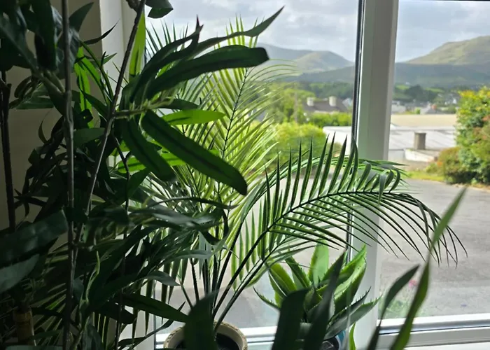 Abbey - 1 Domek letniskowy *